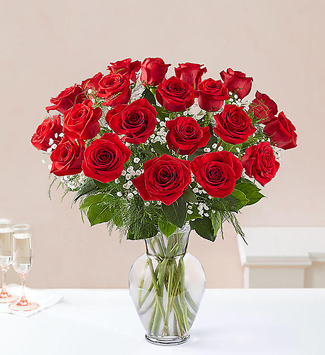 Two Dozen Long Stem Red Roses