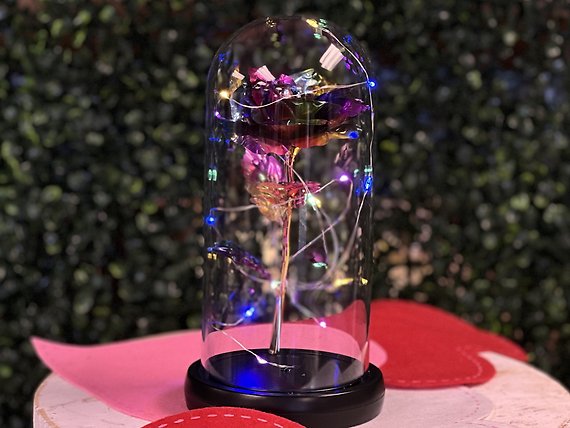 Everlasting Rainbow Rose Dome