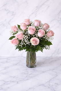ONE DOZEN LIGHT PINK ROSES