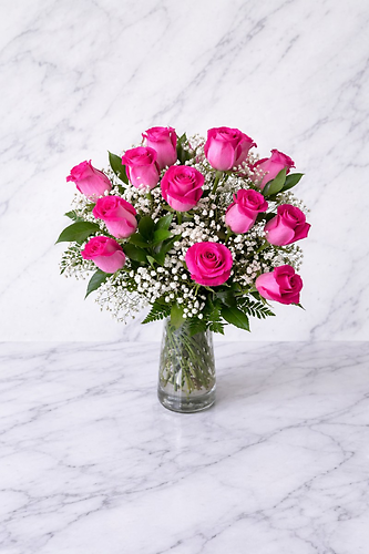ONE DOZEN HOT PINK ROSES