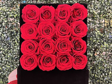16 Red Forever Rose Box