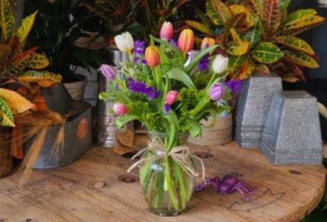 TIMELESS TULIPS