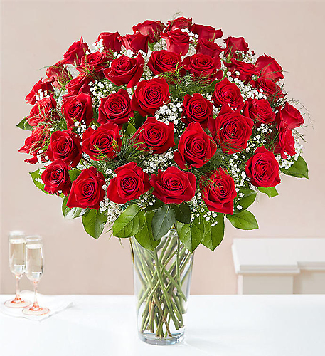 Two Dozen Long Stem Red Roses