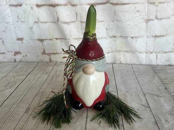 A Merry Blooming Gnome