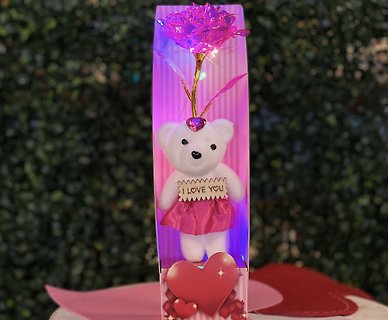 I Love You Bear with Hot Pink Light Up Rose