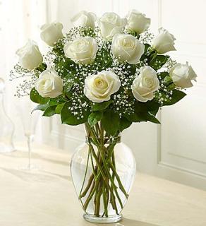 Rose Elegance&trade; Premium Long Stem White Roses