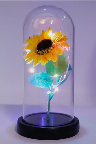 Glowing Sunflower