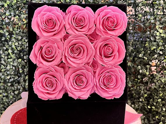 9 Light Pink Forever Rose Box