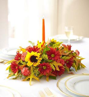 Fields of Europe&trade; for Fall Centerpiece