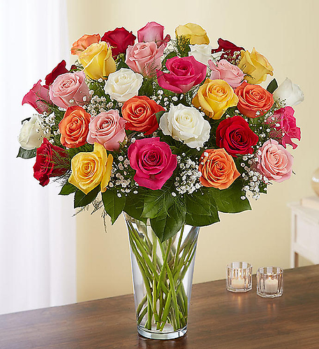 Two Dozen Long Stem Assorted Roses