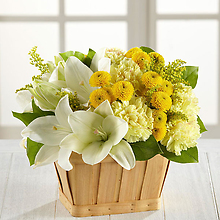 The Uplifting Moments&trade; Basket