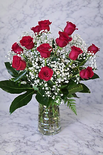 ONE DOZEN RED ROSES