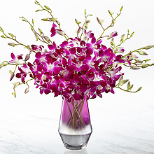 The Pink at Heart&trade; Orchid Bouquet