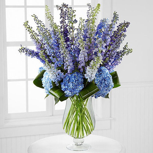 Honestly Luxury Delphinium & Hydrangea Bouquet - 31 Stems