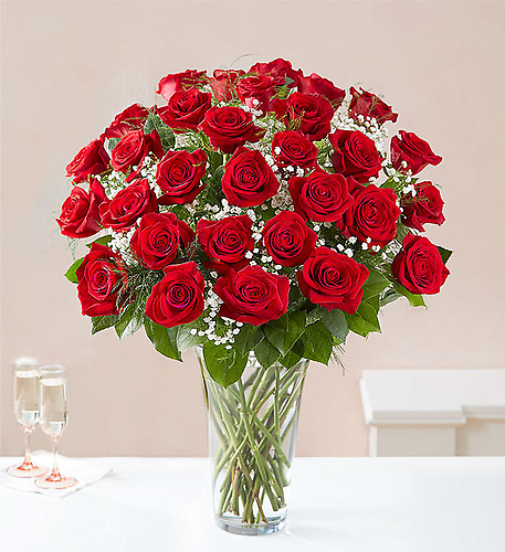 Two Dozen Long Stem Red Roses