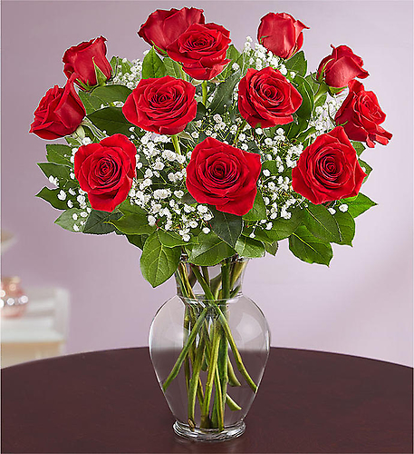 Rose Elegance&trade; Premium Long Stem Red Roses