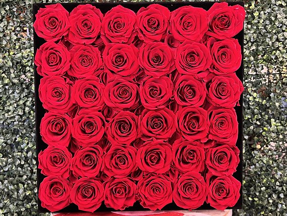 36 Red Forever Rose Box