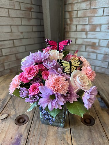 BUTTERFLY CUBE
