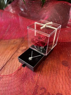 FOREVER ROSE AND NECKLACE