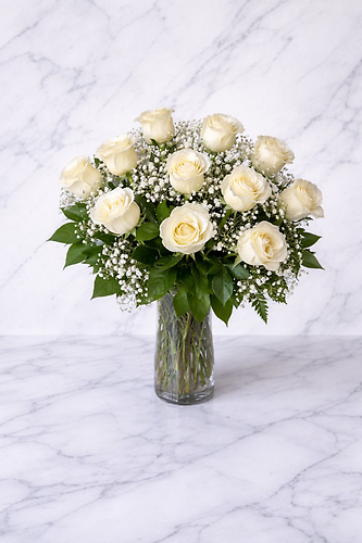 ONE DOZEN WHITE ROSES