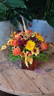 AUTUMN AMBER GLOW