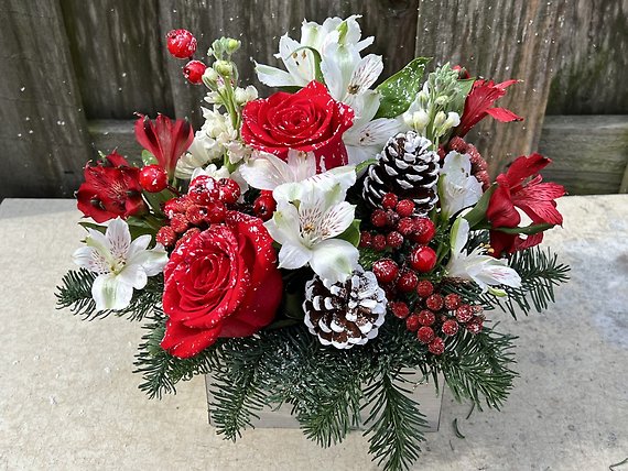 Christmas Cheer