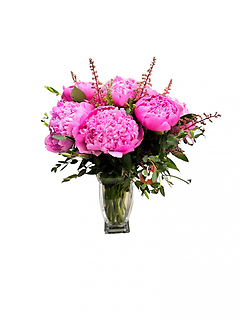 Perfect Peonies